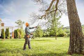 Lawn Maintenance Plans in Candlewick Lake, IL